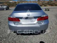 2013 Honda Accord photo