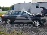 2013 Honda Accord photo