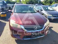 2013 Honda Accord фото