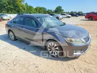 2013 Honda Accord фото