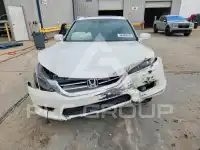 2013 Honda Accord photo