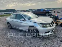 2013 Honda Accord photo