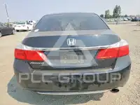 2013 Honda Accord photo