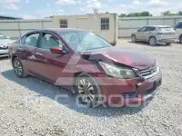 2013 Honda Accord photo