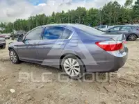 2013 Honda Accord photo