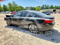 2013 Honda Accord фото