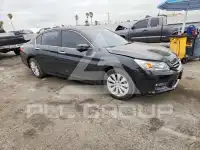 2013 Honda Accord photo