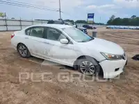 2013 Honda Accord photo