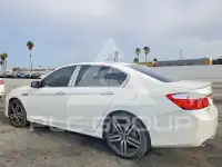 2013 Honda Accord photo