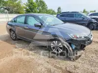 2013 Honda Accord photo