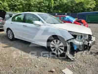 2013 Honda Accord фото