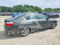 2013 Honda Accord photo