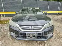 2013 Honda Accord photo