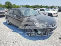 2013 Honda Accord photo