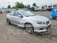 2013 Honda Accord photo