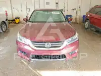 2013 Honda Accord photo