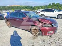 2013 Honda Accord фото