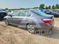 2013 Honda Accord photo