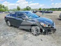 2013 Honda Accord photo