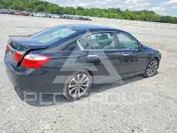 2013 Honda Accord photo