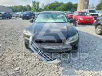 2013 Honda Accord photo