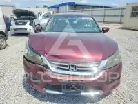 2013 Honda Accord photo