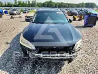 2013 Honda Accord photo