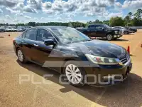 2013 Honda Accord photo