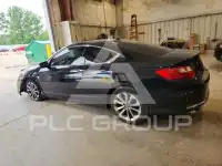 2013 Honda Accord photo