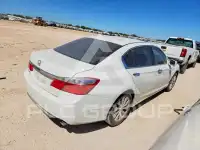 2013 Honda Accord фото