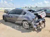2013 Honda Accord photo