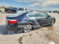 2013 Honda Accord photo