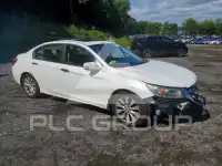 2013 Honda Accord photo
