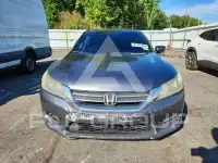 2013 Honda Accord photo