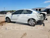 2013 Honda Accord photo