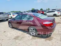 2013 Honda Accord photo