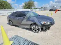 2013 Honda Accord photo