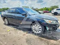 2013 Honda Accord photo