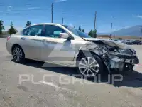 2013 Honda Accord фото
