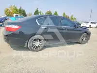2013 Honda Accord photo