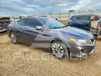 2013 Honda Accord photo