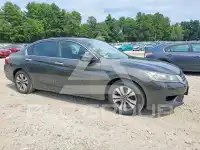 2013 Honda Accord photo