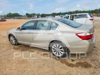 2013 Honda Accord photo