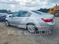 2013 Honda Accord photo