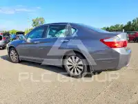2013 Honda Accord photo
