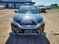 2013 Honda Accord photo