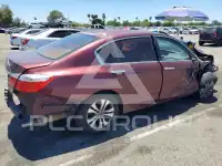 2013 Honda Accord photo