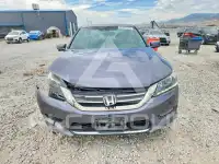 2013 Honda Accord photo