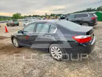 2013 Honda Accord photo