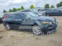2013 Honda Accord photo